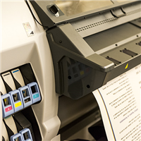 Large Format and Display