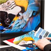Graphic Design