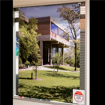 Window film