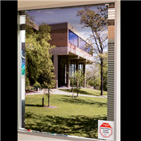 Window film